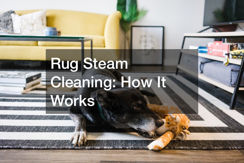 Rug Steam Cleaning  How It Works