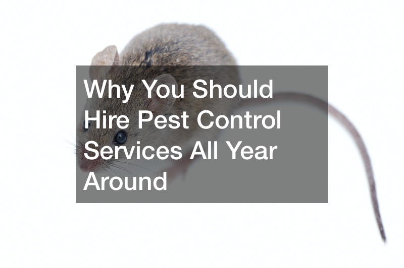 Why You Should Hire Pest Control Services All Year Around