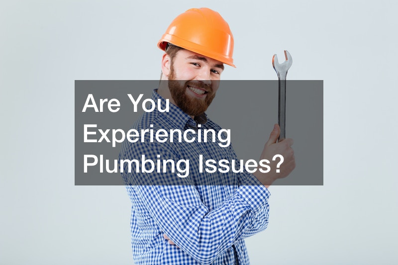 Are You Experiencing Plumbing Issues?