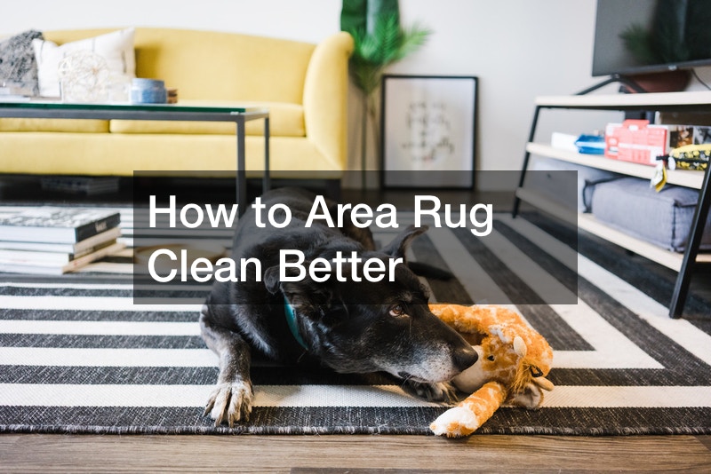 How to Area Rug Clean Better