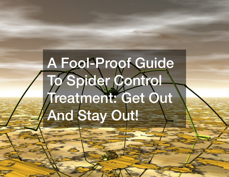 A Fool-Proof Guide To Spider Control Treatment  Get Out And Stay Out!