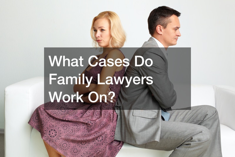 What Cases Do Family Lawyers Work On?