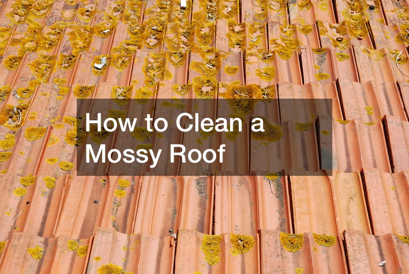 How to Clean a Moldy Roof