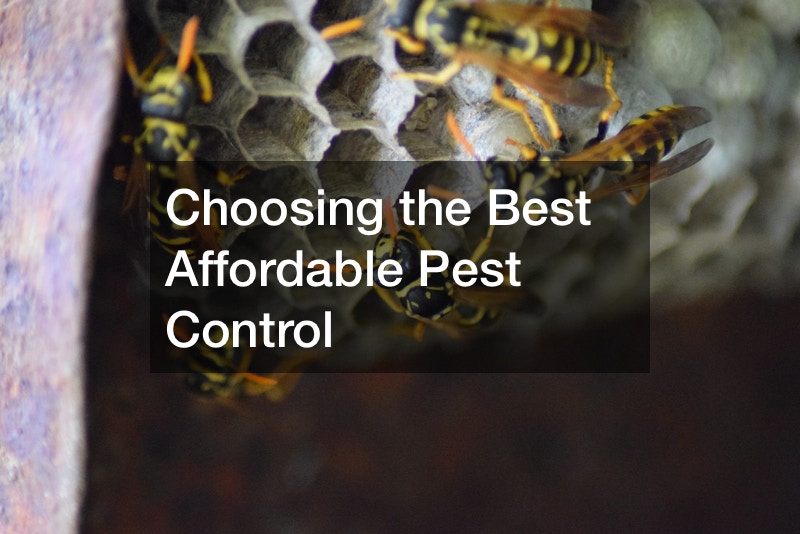 Choosing the Best Affordable Pest Control