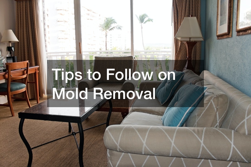 Tips to Follow on Mold Removal