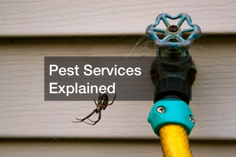 Pest Services Explained
