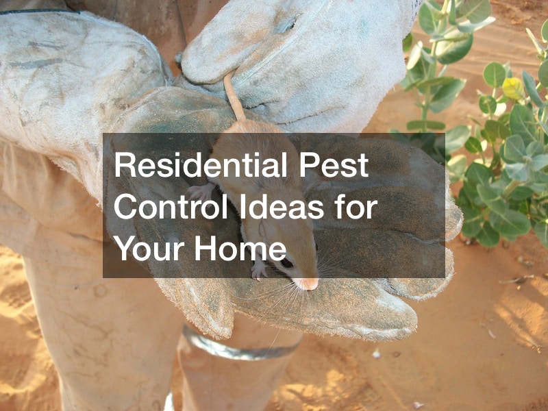 Residential Pest Control Ideas for Your Home