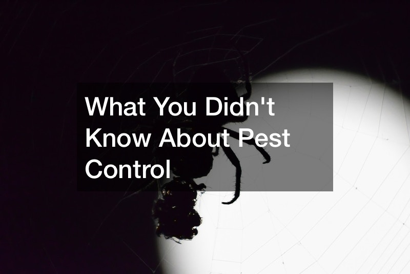 What You Didnt Know About Pest Control