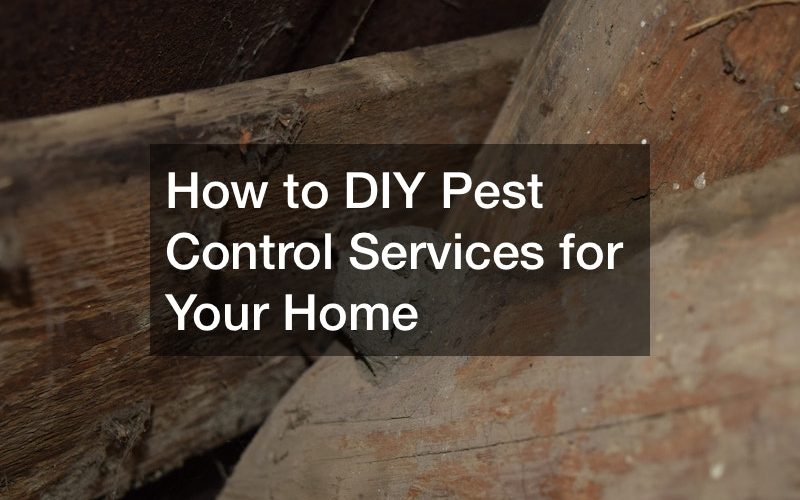 How to DIY Pest Control Services for Your Home