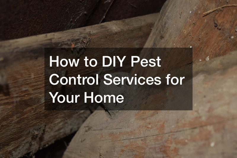 How to DIY Pest Control Services for Your Home