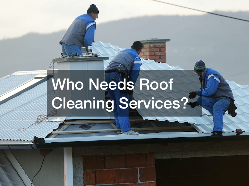 Who Needs Roof Cleaning Services?