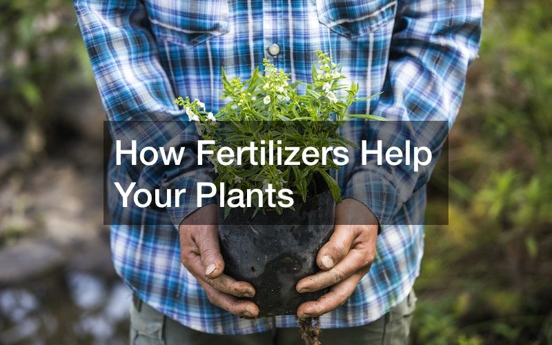 How Fertilizers Help Your Plants