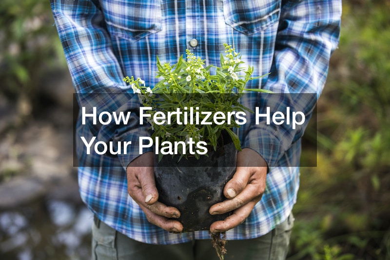 How Fertilizers Help Your Plants