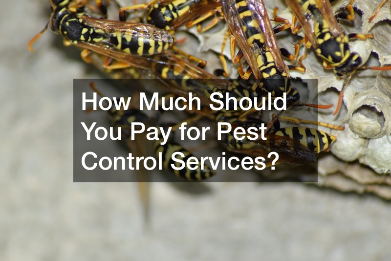 How Much Should You Pay for Pest Control Services?