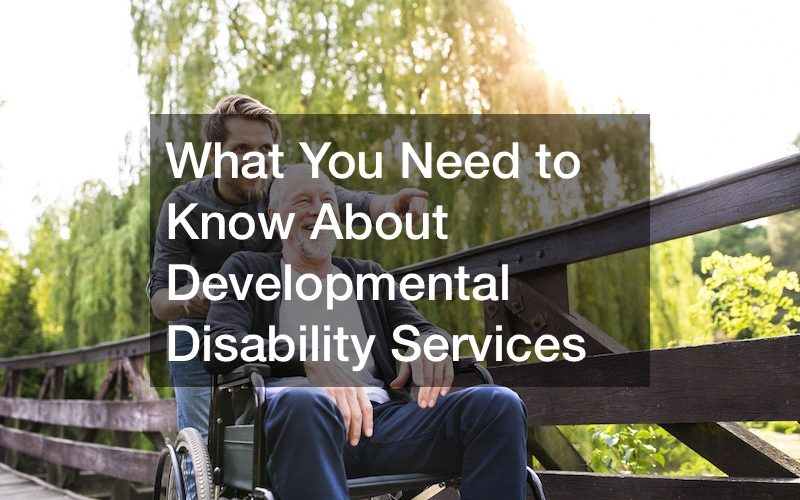 What You Need to Know About Developmental Disability Services