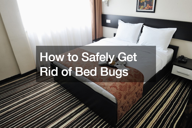 How to Safely Get Rid of Bed Bugs